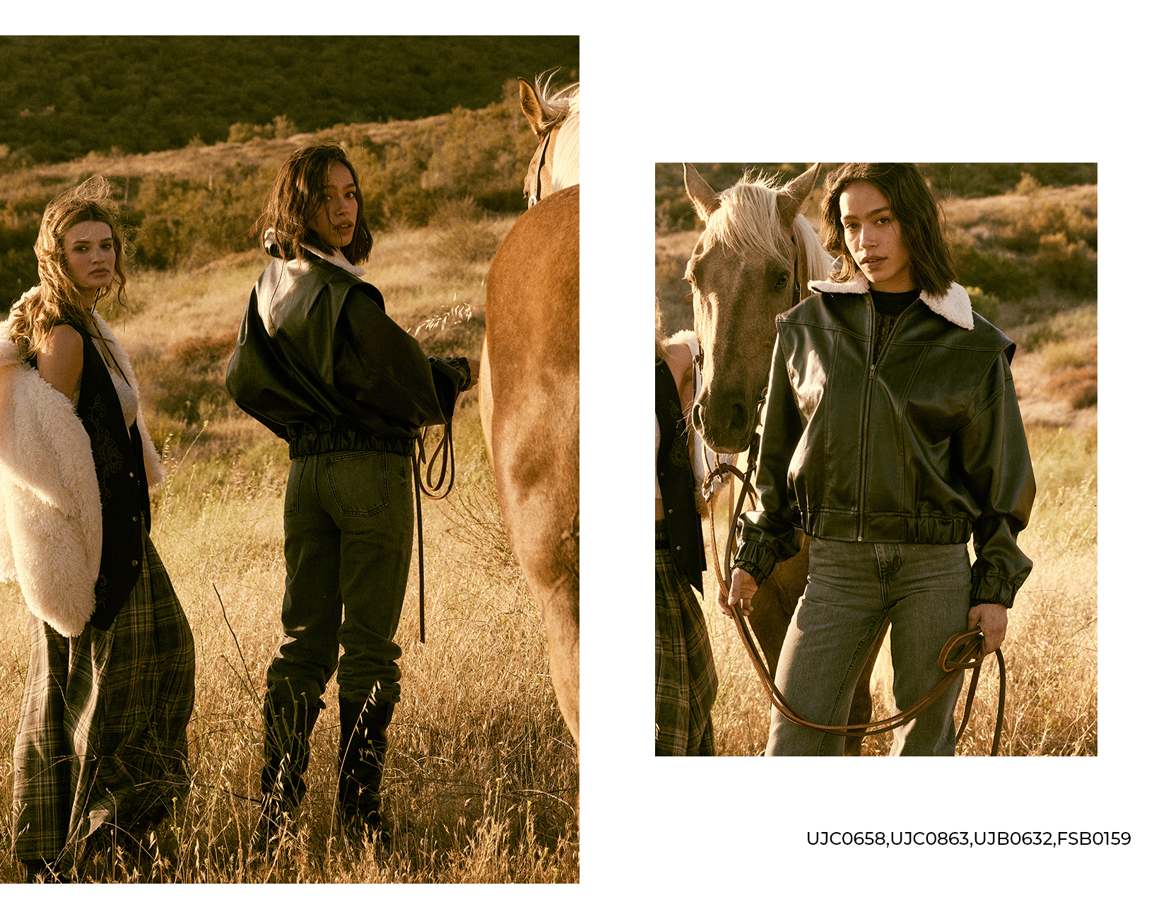 Open Range 3